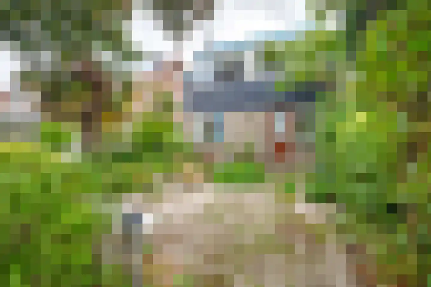 Dijkweg 77 B Naaldwijk thumbnail 41
