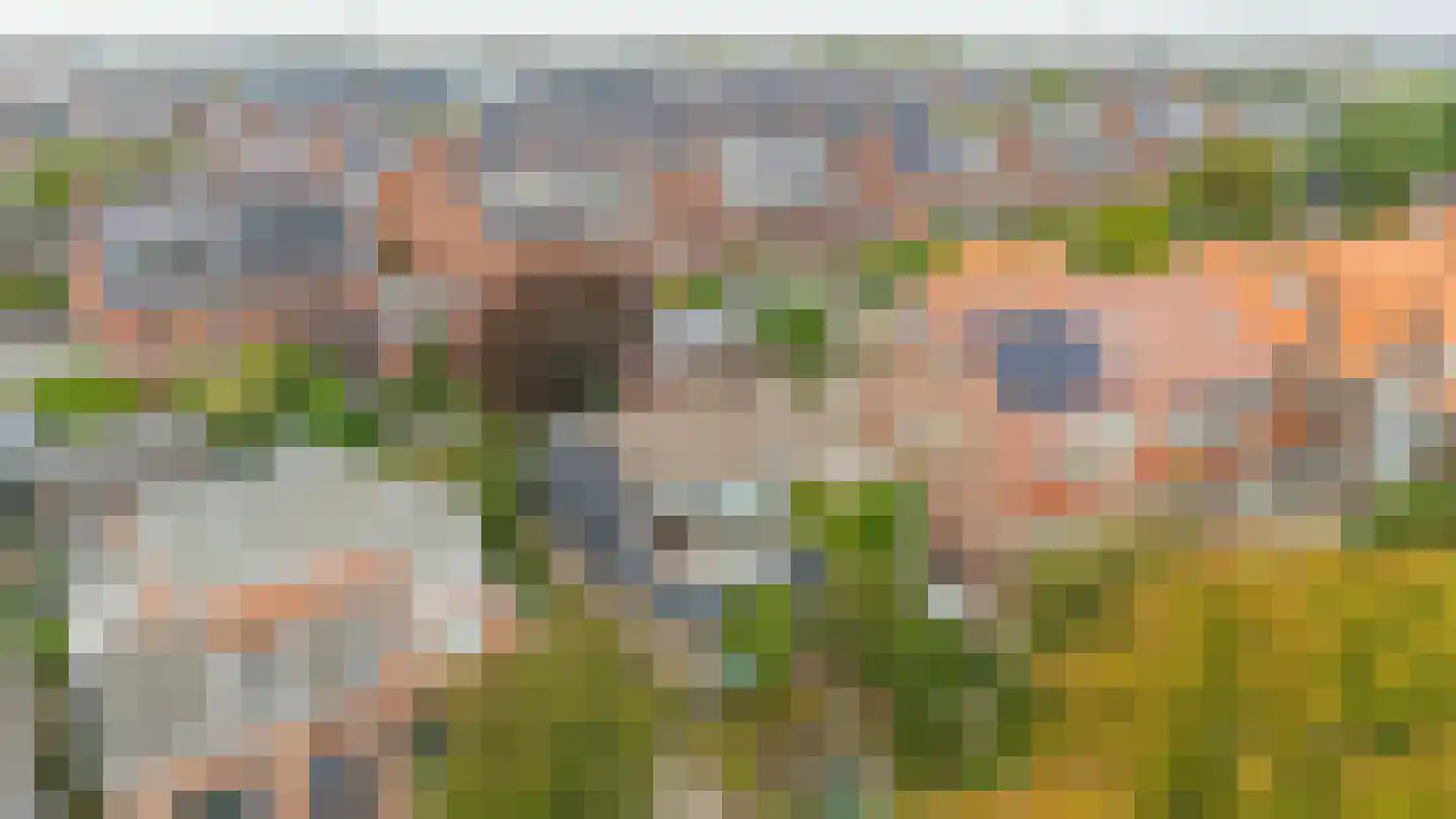 Dijkweg 77 B Naaldwijk thumbnail 43