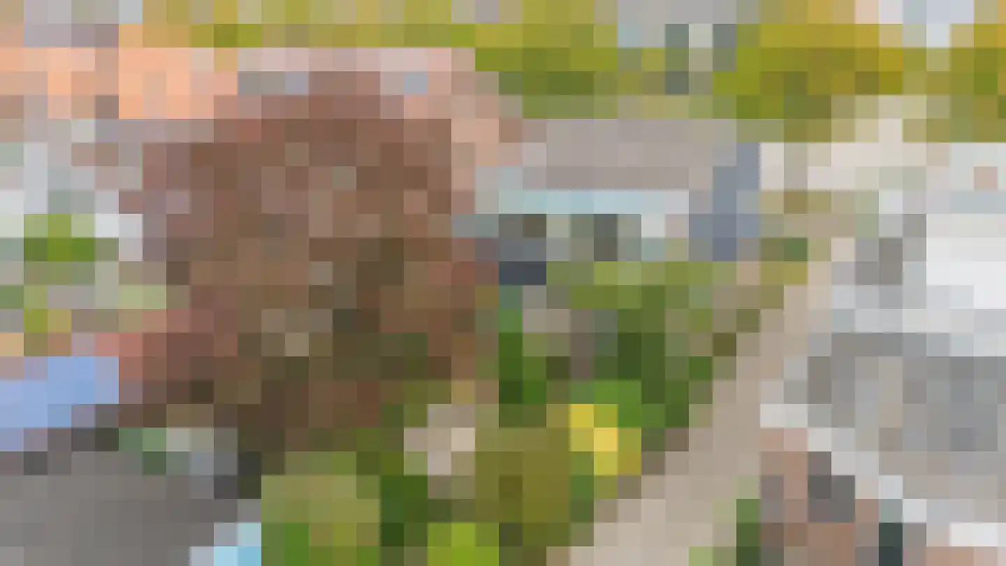 Dijkweg 77 B Naaldwijk thumbnail 47