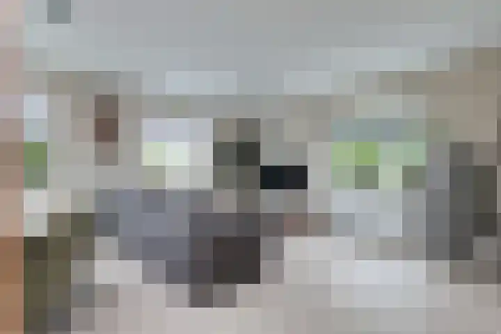 Dijkweg 83 b Andijk thumbnail 15