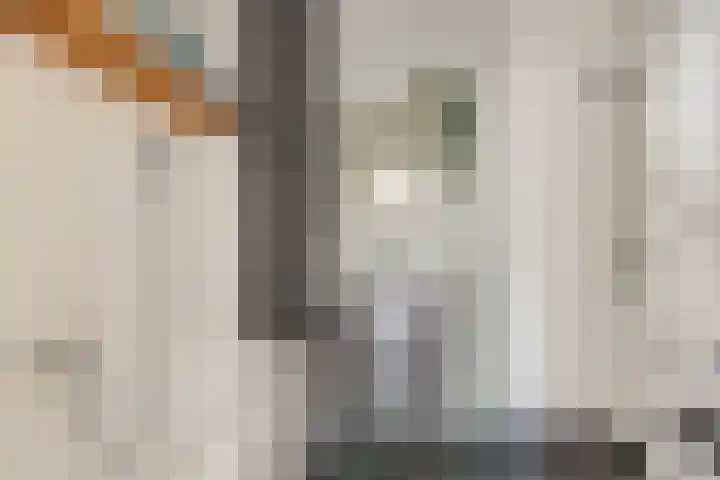 Dijkweg 83 b Andijk thumbnail 30