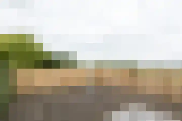 Dijkweg 83 b Andijk thumbnail 37