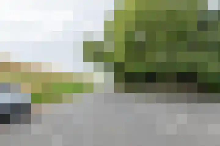 Dijkweg 83 b Andijk thumbnail 43