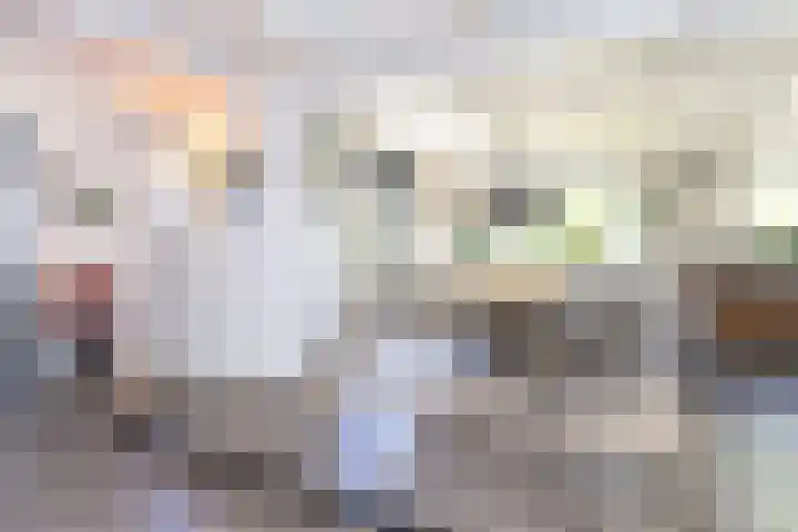 Dijkweg 87 Andijk thumbnail 10