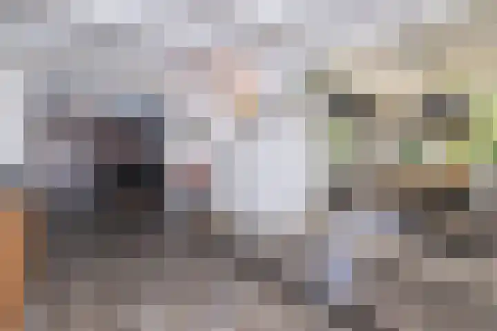 Dijkweg 87 Andijk thumbnail 20