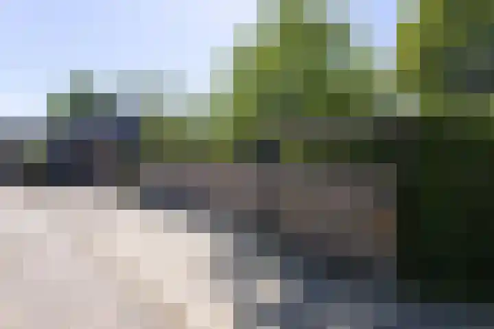 Dijkweg 87 Andijk thumbnail 39