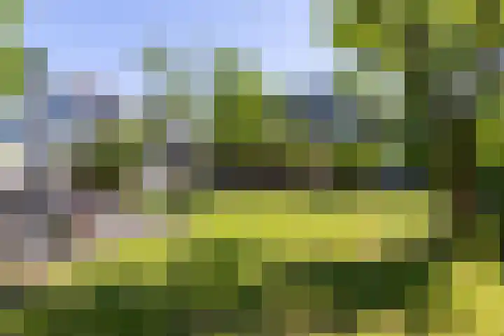 Dijkweg 87 Andijk thumbnail 40