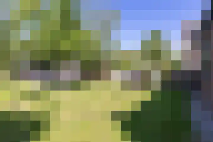 Dijkweg 87 Andijk thumbnail 42