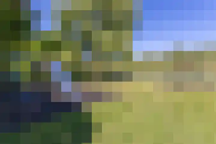 Dijkweg 87 Andijk thumbnail 47