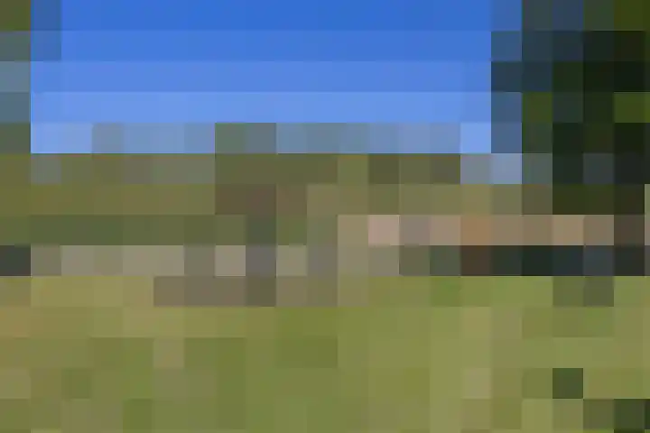 Dijkweg 87 Andijk thumbnail 48