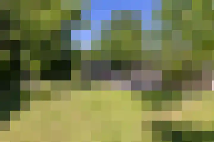 Dijkweg 87 Andijk thumbnail 5