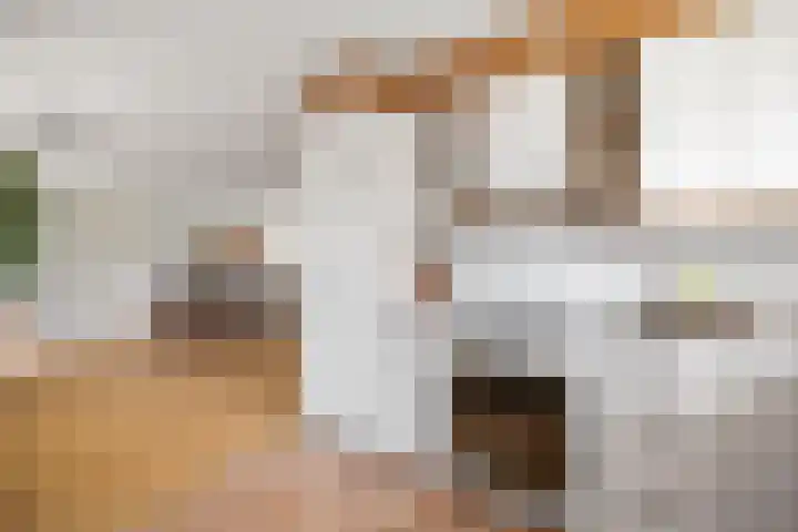 Dijkweideweg 13 Wilp thumbnail 15