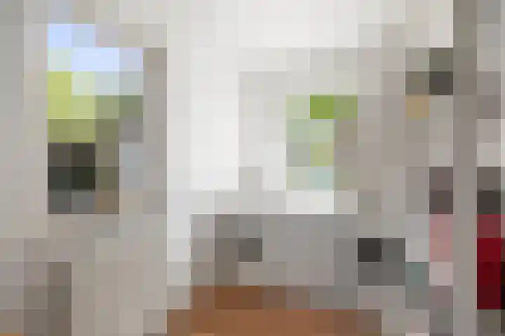 Dijkweideweg 13 Wilp thumbnail 16