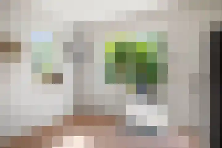 Dijkweideweg 13 Wilp thumbnail 17