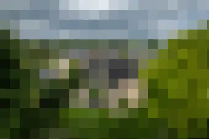 Dijkweideweg 13 Wilp thumbnail 29