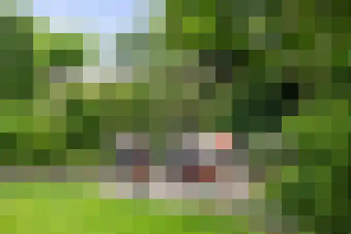 Dijkweideweg 13 Wilp thumbnail 32