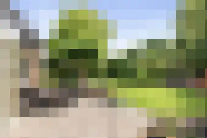 Dijkweideweg 13 Wilp thumbnail 33