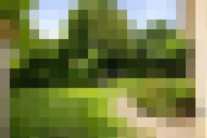 Dijkweideweg 13 Wilp thumbnail 34