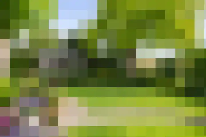 Dijkweideweg 13 Wilp thumbnail 35