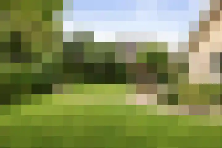 Dijkweideweg 13 Wilp thumbnail 36
