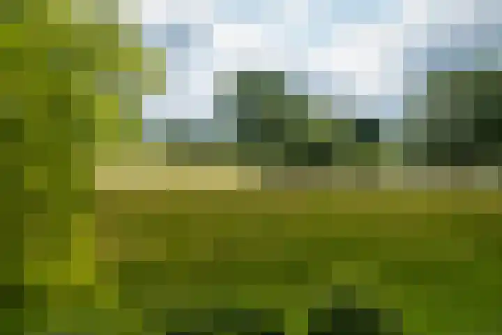 Dijkweideweg 13 Wilp thumbnail 37