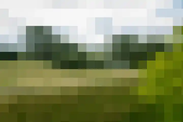 Dijkweideweg 13 Wilp thumbnail 38