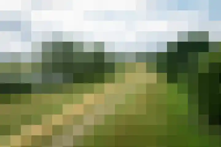 Dijkweideweg 13 Wilp thumbnail 39