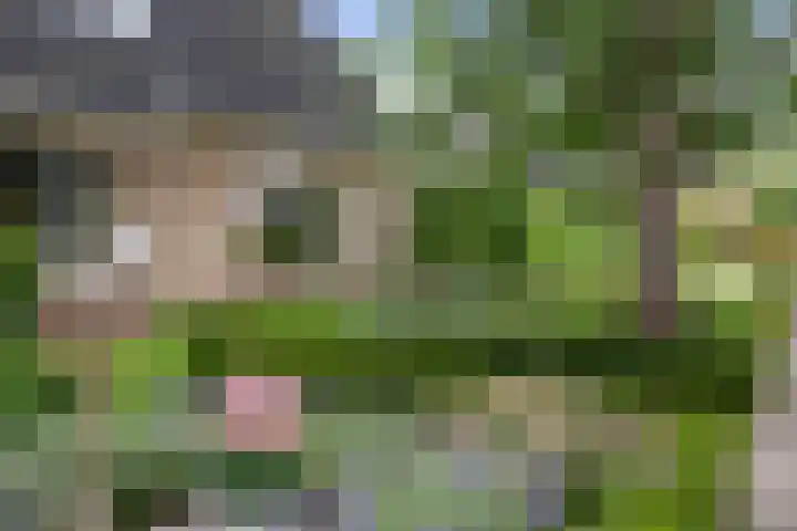 Dijkweideweg 13 Wilp thumbnail 4