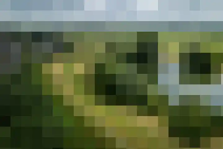 Dijkweideweg 13 Wilp thumbnail 40