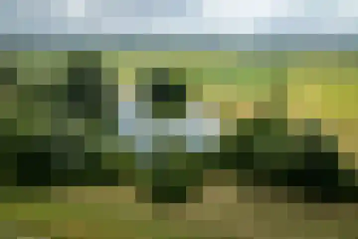 Dijkweideweg 13 Wilp thumbnail 41