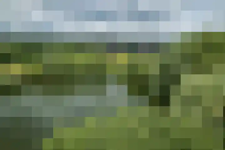Dijkweideweg 13 Wilp thumbnail 42