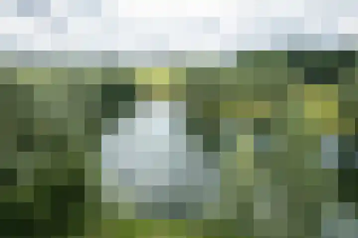 Dijkweideweg 13 Wilp thumbnail 43
