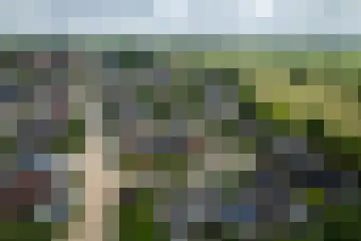 Dijkweideweg 13 Wilp thumbnail 44