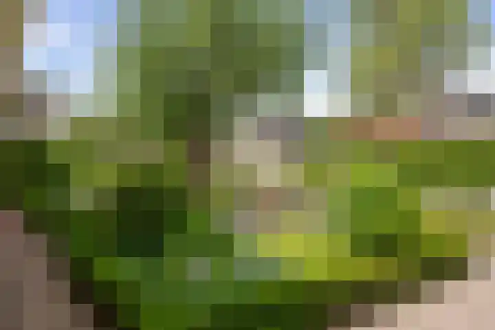 Dijkweideweg 13 Wilp thumbnail 45
