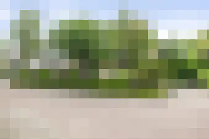 Dijkweideweg 13 Wilp thumbnail 46