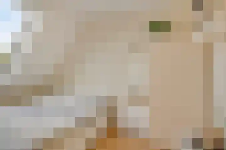 Dijkweideweg 8 Wilp thumbnail 14