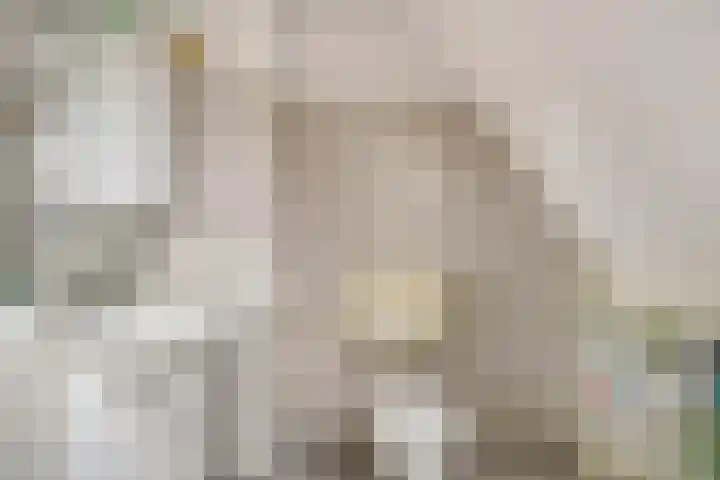 Dijkweideweg 8 Wilp thumbnail 15