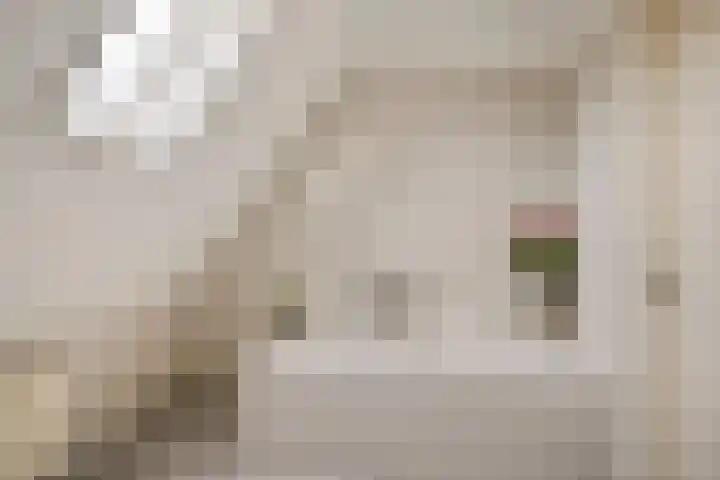 Dijkweideweg 8 Wilp thumbnail 16