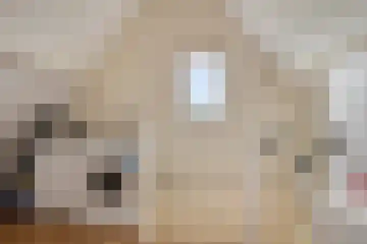 Dijkweideweg 8 Wilp thumbnail 17