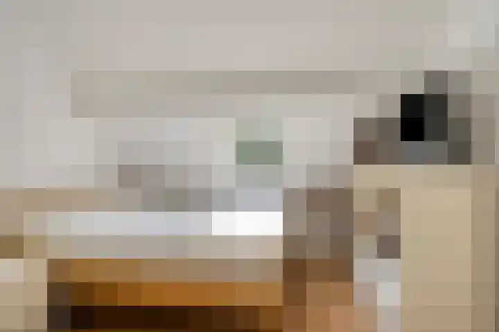 Dijkweideweg 8 Wilp thumbnail 20