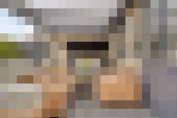 Dijkweideweg 8 Wilp thumbnail 21