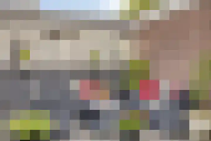 Dijkweideweg 8 Wilp thumbnail 23
