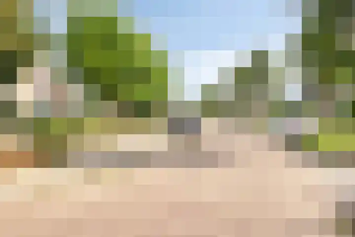 Dijkweideweg 8 Wilp thumbnail 26