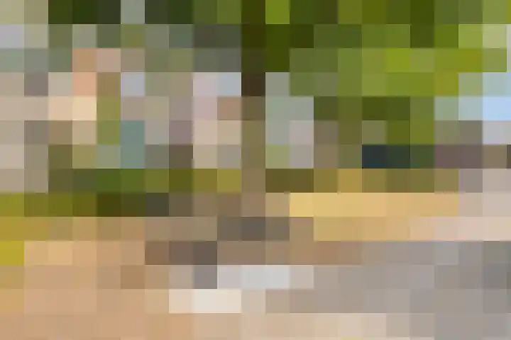 Dijkweideweg 8 Wilp thumbnail 27