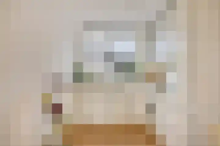Dijkweideweg 8 Wilp thumbnail 7