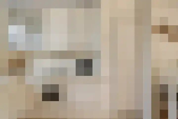 Dijkweideweg 8 Wilp thumbnail 8