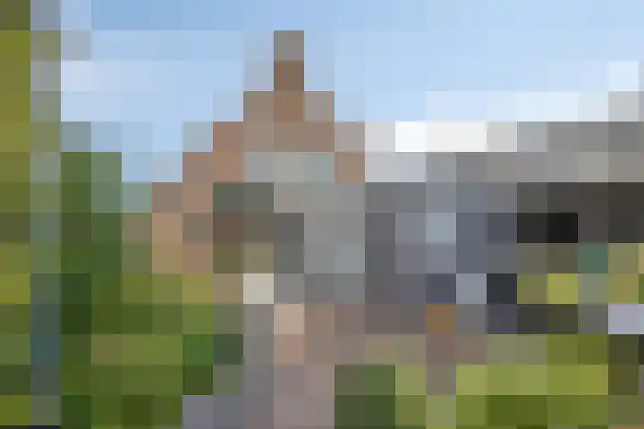 Dijkwelsestraat 1 Kapelle thumbnail 11
