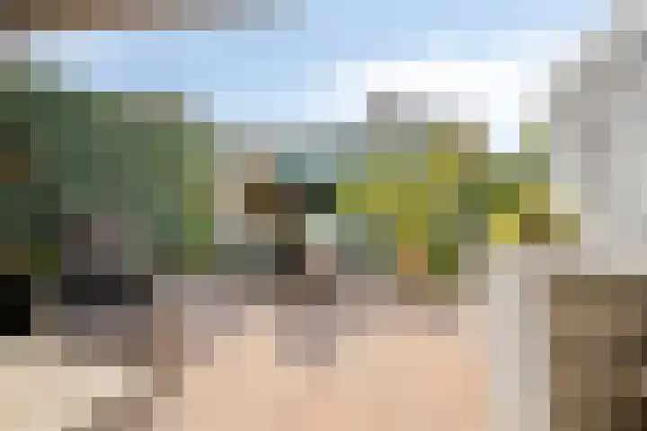 Dijkwelsestraat 1 Kapelle thumbnail 13