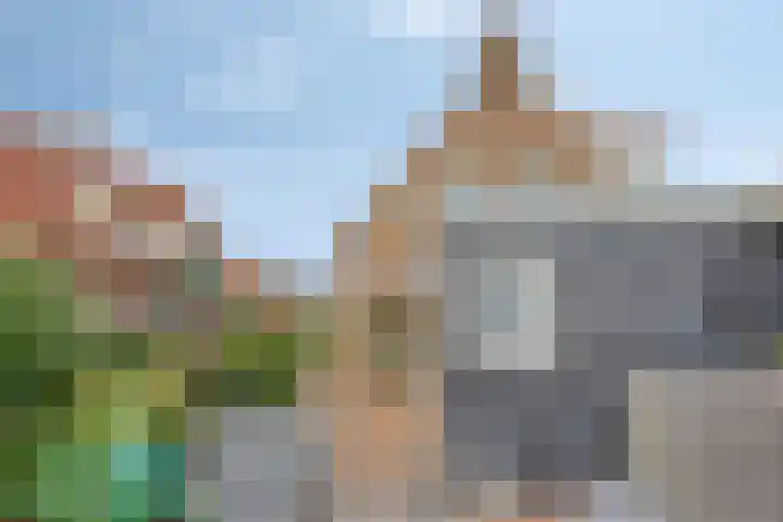 Dijkwelsestraat 1 Kapelle thumbnail 14