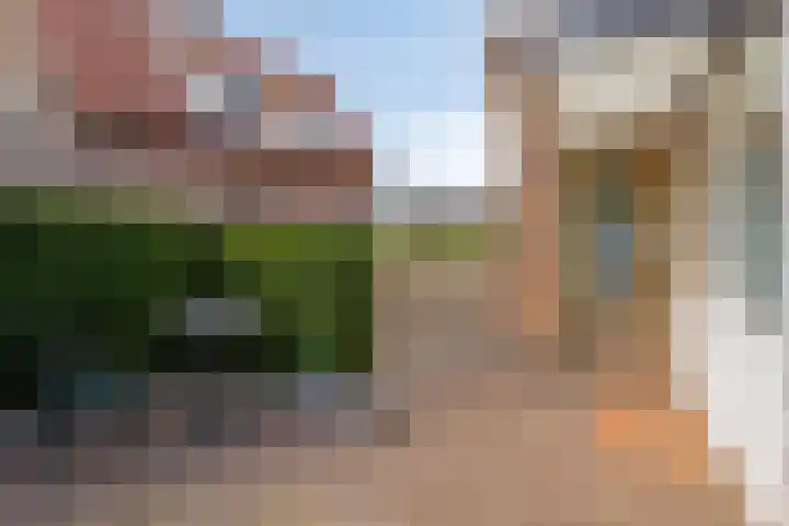 Dijkwelsestraat 1 Kapelle thumbnail 15